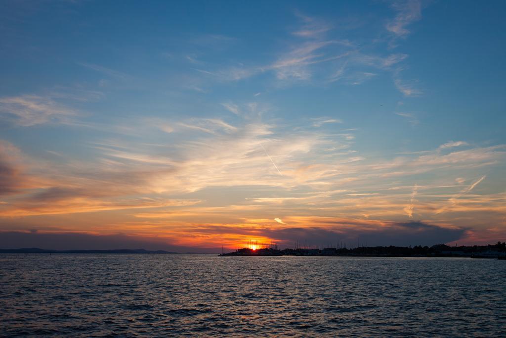 Ira Zadar