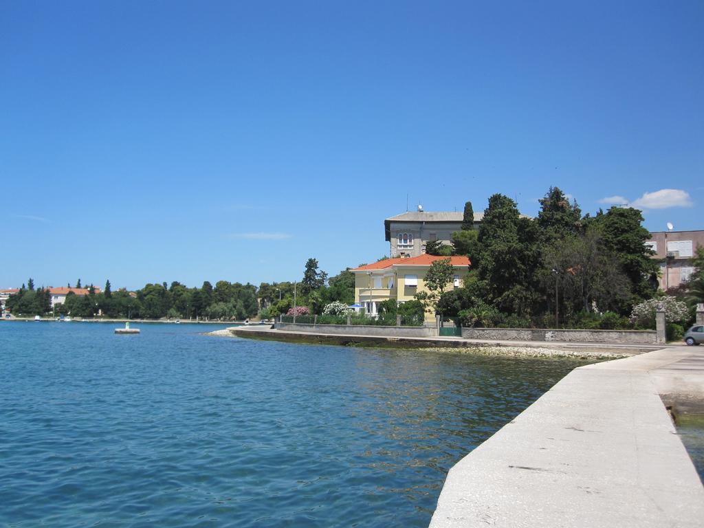 Ira Zadar